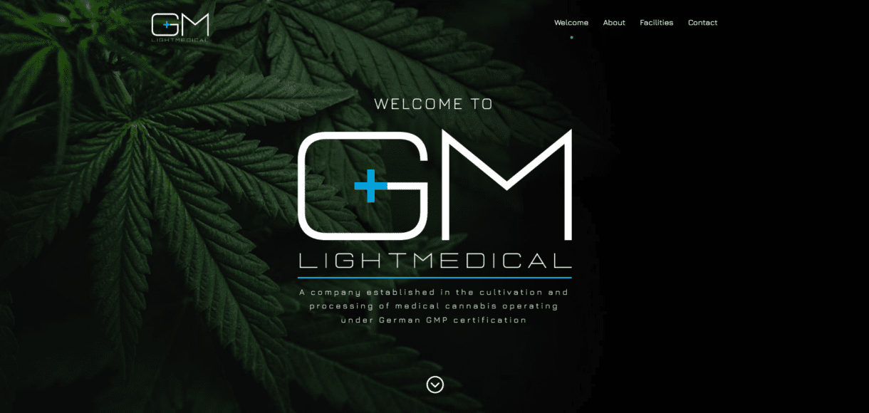 GM Light Medical Homepage